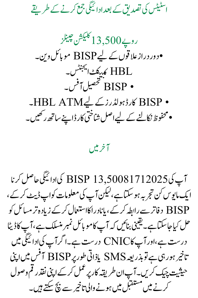 8171 BISP Payment Issues 2025