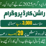 Punjab Ration Card Program 2025: How to Apply Online