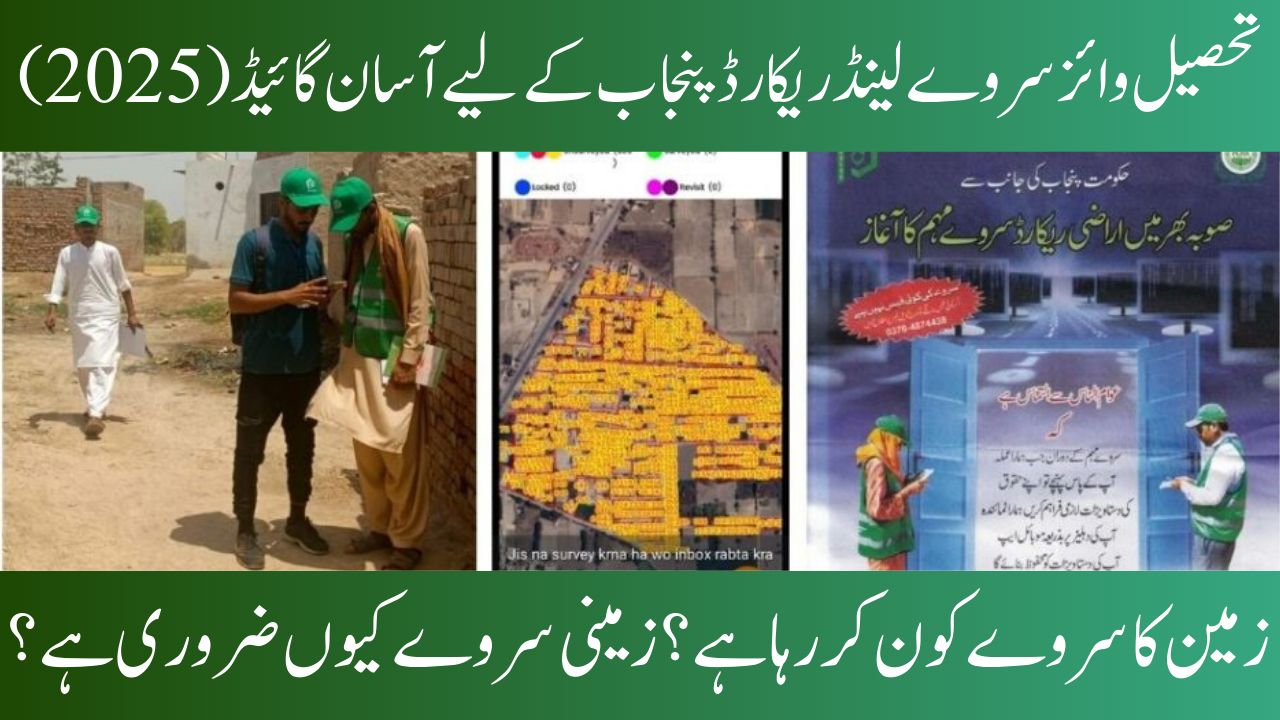 Tehsil-Wise Land Surveyin Punjab: A Simple Guide (2025)