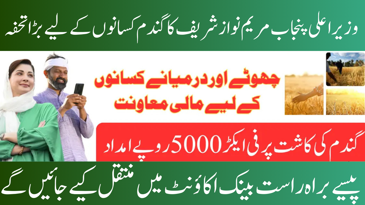 CM Punjab Wheat Support Program: 5000 Per Farmer Registration