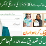 8171 Check Online 13500 Web Portal 2025