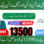 Check the Status of BISP 13500 Payments Online and Offline