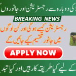 Punjab Livestock Distribution Program