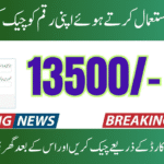 CNIC Verification 8171 2025 BISP Payment Through the Use of a Registered Mobile Number