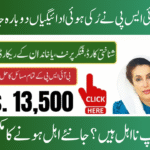 8171 BISP Payment Issues 2025