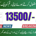 CNIC Verification 8171 2025 BISP Payment Through the Use of a Registered Mobile Number
