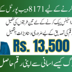 BISP 8171 Payment Status Alternatives Methods