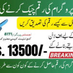 BISP Ehsaas Program CNIC Check Online 13500 2025