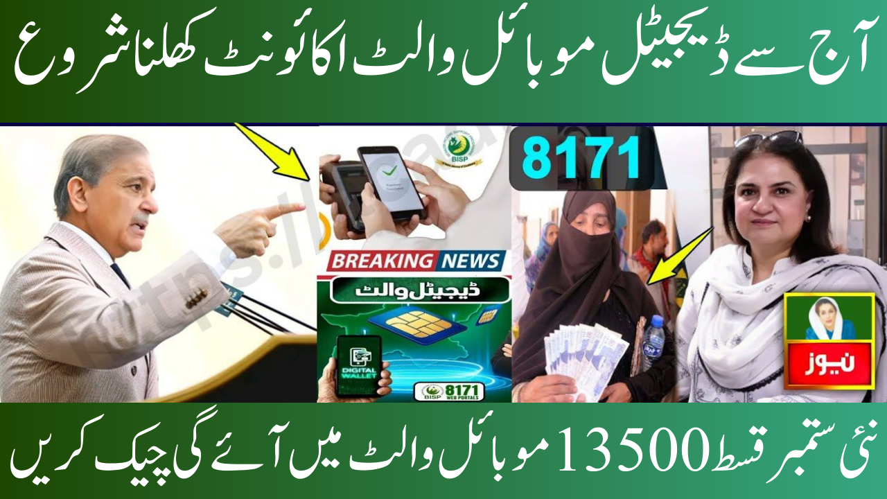 BISP 8171 Digital Payment System 2025